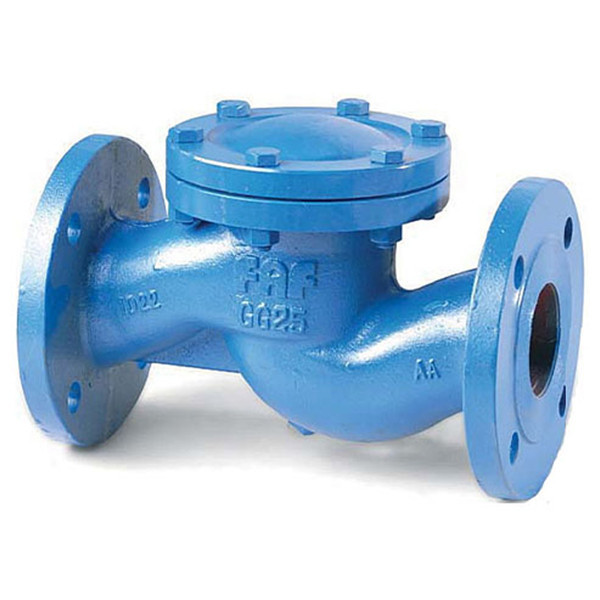 Клапан FAF 2250 DN 25 PN 16 обратный фланцевый